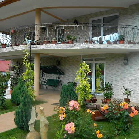Pensiunea Casa Cornelia Mahmudia Extérieur photo